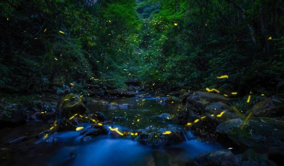 幽幽梦游记