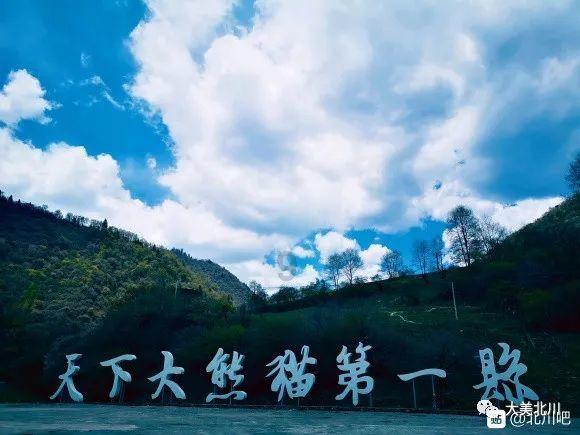 他们怎么样?游戏画面