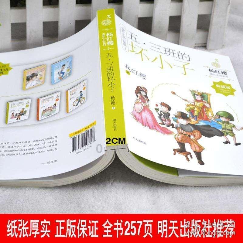 美丽的夜晚