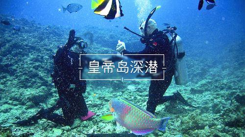 奇异人生暴风前夕